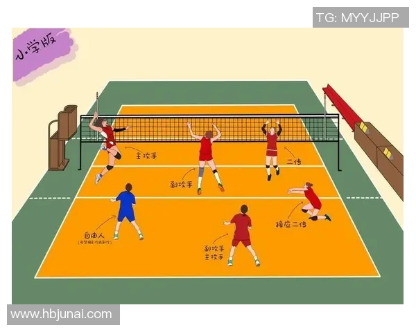 武汉排球队在锦标赛中的速度优势与战术解析